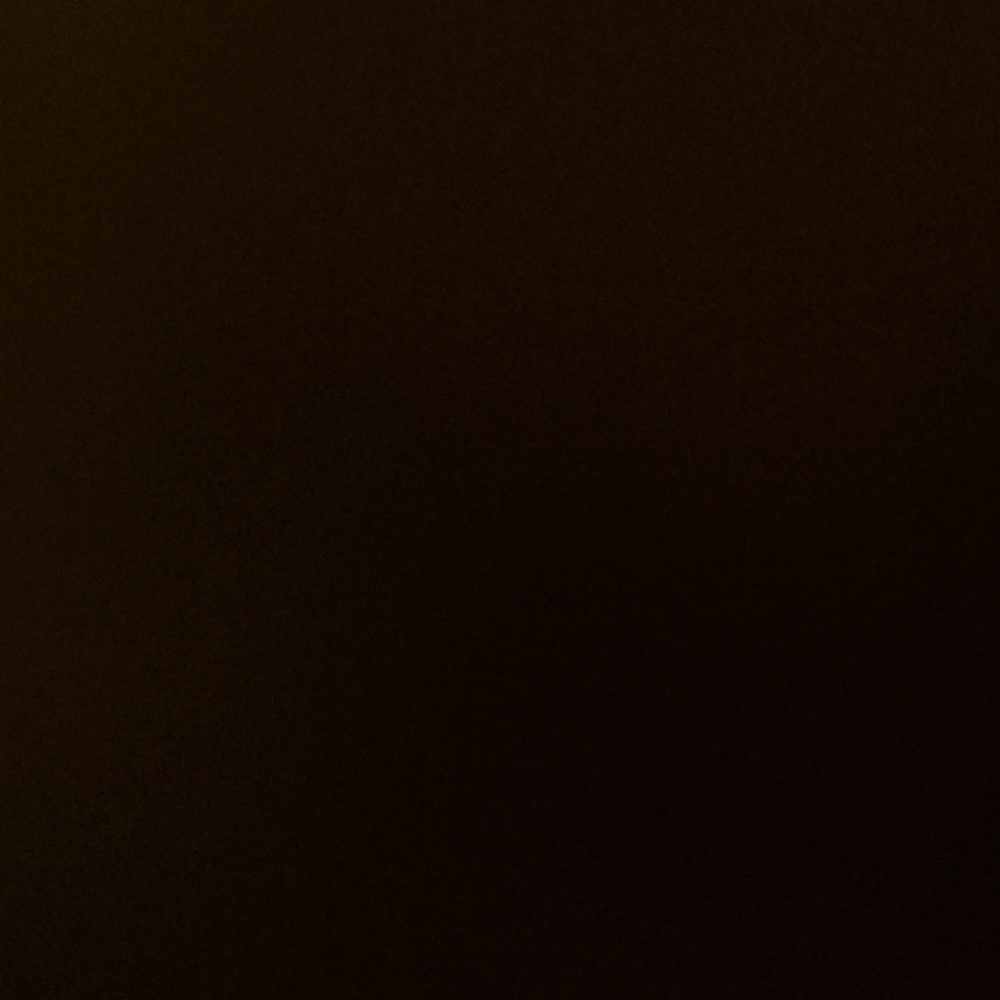 Meet your Posher, Carina